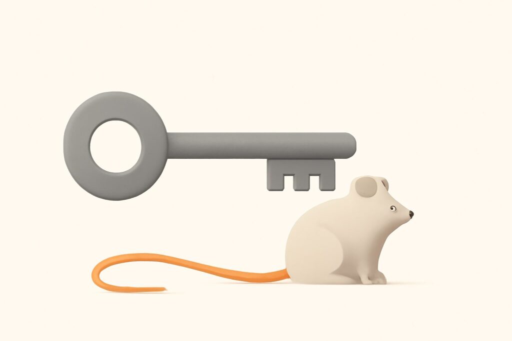 Head vs Long-Tail Keywords: Which to Chase in 2026