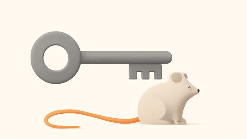 Head vs Long-Tail Keywords: Which to Chase in 2026