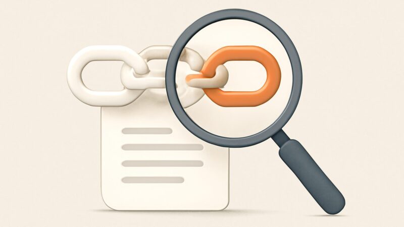 seo link audit