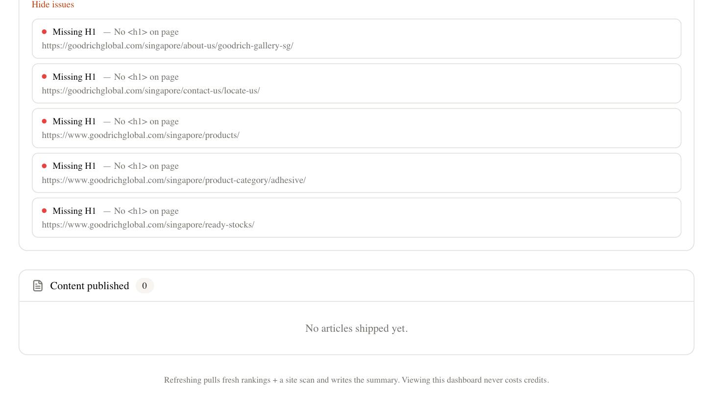 SEO Rocket site audit showing on-page issues like missing H1 and the affected pages