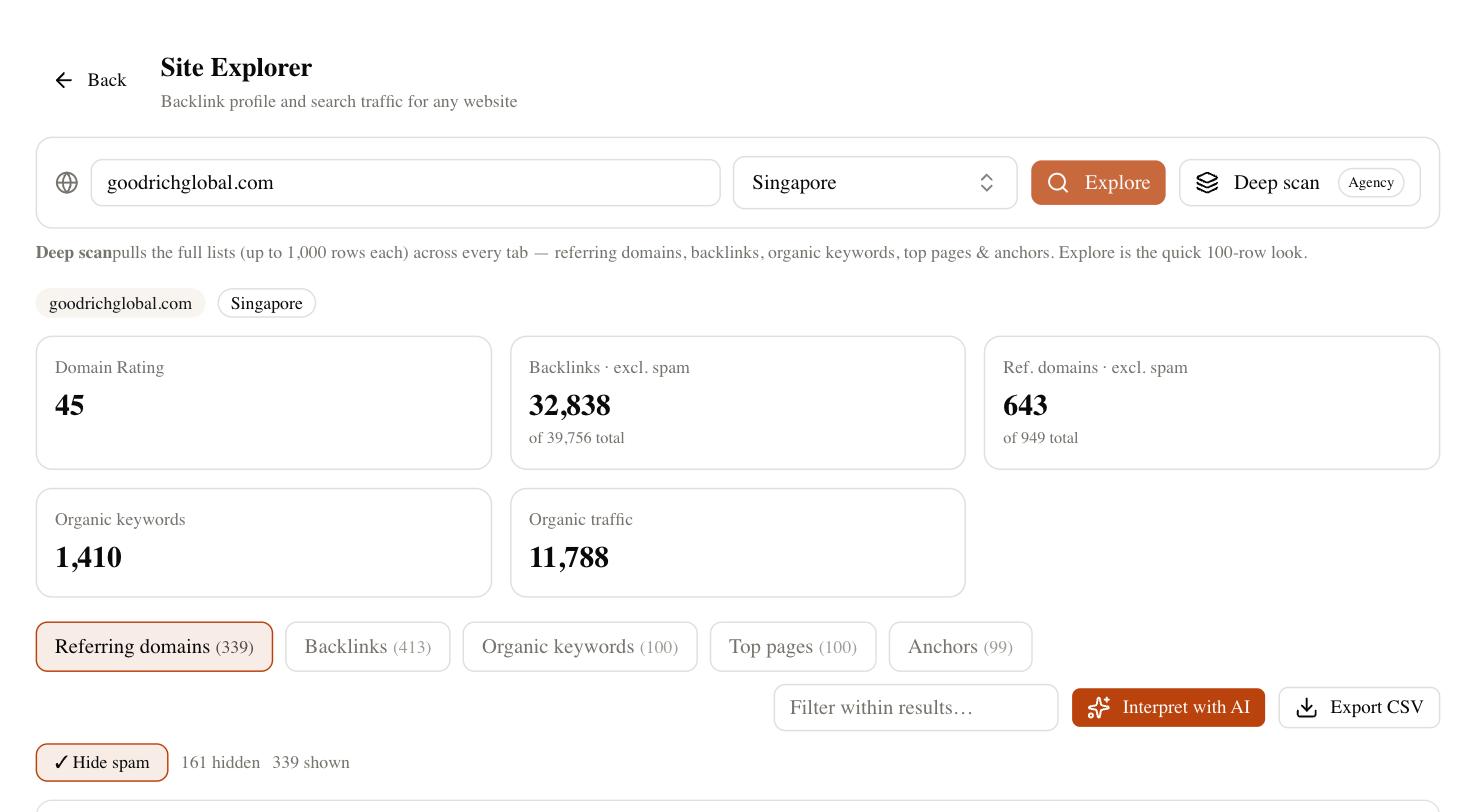 Site Explorer in SEO Rocket — diagnose a ranking drop from the full domain profile: Domain Rating, organic traffic, backlinks and top pages, on real Ahrefs data.